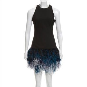 Elizabeth and James Feather Embellished Dress NWT